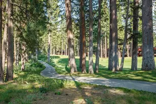 55 Deer Creek Crossing, Clio, CA 96106 - Photo 6