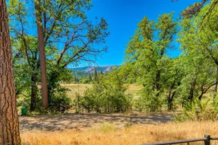 1966 Chandler Rd, Quincy, CA 95971 - Photo 16