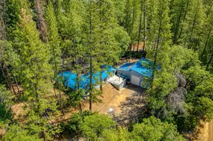 1966 Chandler Rd, Quincy, CA 95971 - Photo 6