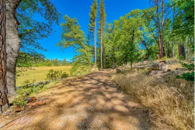 1966 Chandler Road, Quincy, CA 95971 - Photo 8