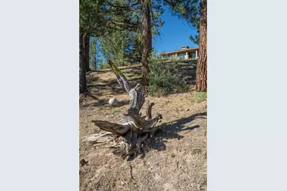 905 Dancing Bears, Portola, CA 96122 - Photo 36