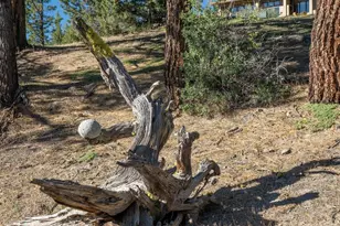 905 Dancing Bears, Portola, CA 96122 - Photo 36