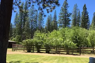 58411 Cedar Ln, Cromberg, CA 96103 - Photo 2