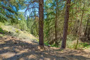 2170 Mourning Dove Ln, Clio, CA 96106 - Photo 40