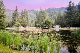 2708 Genesee Rd, Taylorsville, CA 95983 - Photo 4