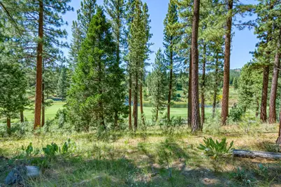 241 Fox Sparrow, Portola, CA 96122 - Photo 6