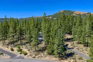1924 Grizzly Ranch Rd, Portola, CA 96122 - Photo 1