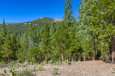 1924 Grizzly Ranch Road, Portola, CA 96122 - Photo 8