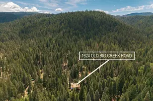 1624 Old Big Crk Rd, Meadow Valley, CA 95956 - Photo 32