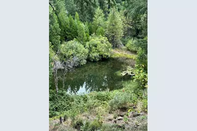 1468 12 Mile Bar Road, Twain, CA 95984 - Photo 40