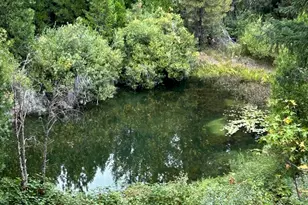 1468 12 Mile Bar Rd, Twain, CA 95984 - Photo 40