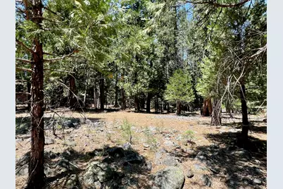 83 Paiute Trail, Graeagle, CA 96103 - Photo 6
