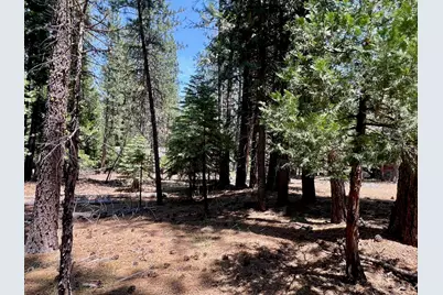83 Paiute Trail, Graeagle, CA 96103 - Photo 10