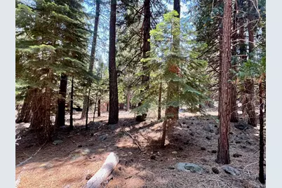 83 Paiute Trail, Graeagle, CA 96103 - Photo 8