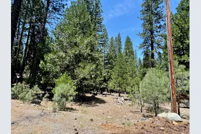 83 Paiute Trail, Graeagle, CA 96103 - Photo 4