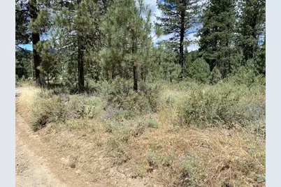 Apn#126-113-003 Idle Hour Drive, Portola, CA 96122 - Photo 2