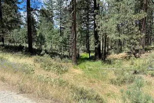 Apn#126-113-003 Idle Hour Dr, Portola, CA 96122 - Photo 1