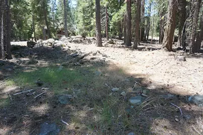 1 Papoose Trail, Graeagle, CA 96103 - Photo 2