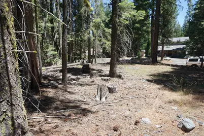 1 Papoose Trail, Graeagle, CA 96103 - Photo 8