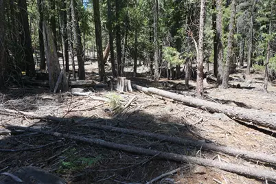 1 Papoose Trail, Graeagle, CA 96103 - Photo 4