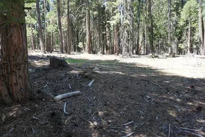 1 Papoose Trail, Graeagle, CA 96103 - Photo 1