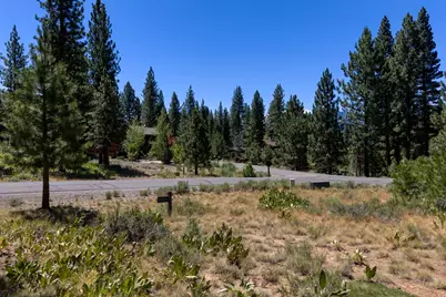 415 Blacktail Ridge, Portola, CA 96122 - Photo 10