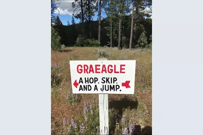 13 Yokut Trail, Graeagle, CA 96103 - Photo 32