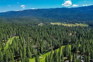243 Black Bear Trail, Clio, CA 96106 - Photo 48