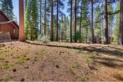 292 McKenzie Trail, Clio, CA 96106 - Photo 6