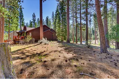 292 McKenzie Trail, Clio, CA 96106 - Photo 4