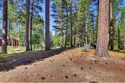 292 McKenzie Trail, Clio, CA 96106 - Photo 8