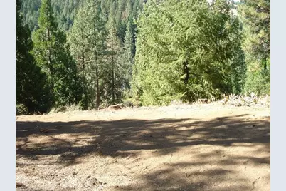 357 Big Grizzly #4, Portola, CA 96122 - Photo 4