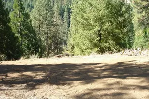 357 Big Grizzly, Portola, CA 96122 - Photo 4