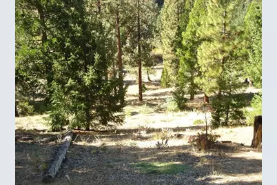357 Big Grizzly #4, Portola, CA 96122 - Photo 2