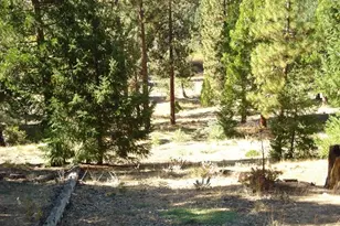357 Big Grizzly, Portola, CA 96122 - Photo 2