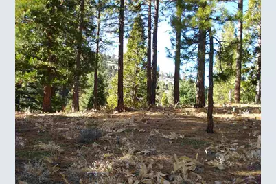 369 Big Grizzly, Portola, CA 96122 - Photo 1