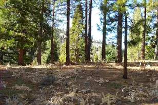 369 Big Grizzly, Portola, CA 96122 - Photo 1