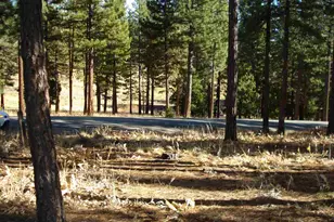 369 Big Grizzly, Portola, CA 96122 - Photo 2