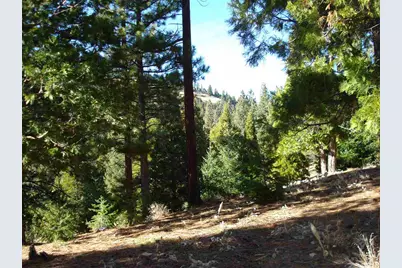 369 Big Grizzly, Portola, CA 96122 - Photo 4