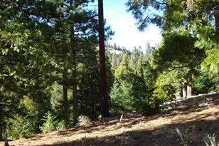 369 Big Grizzly, Portola, CA 96122 - Photo 4