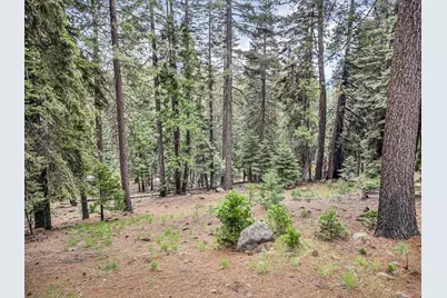 618 & 620 Pine Canyon Road, Lake Almanor, CA 96137 - Photo 28