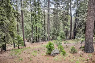 618 & 620 Pine Canyon Rd, Lake Almanor, CA 96137 - Photo 28