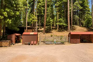 294 April Ln, Blairsden-Graeagle, CA 96103 - Photo 32