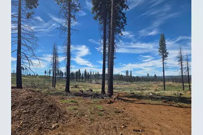 314 Osprey Loop, Lake Almanor West, CA 96020 - Photo 10