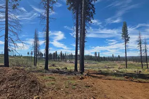 314 Osprey Loop, Lake Almanor West, CA 96020 - Photo 10