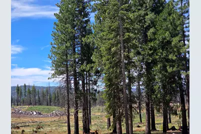 314 Osprey Loop, Lake Almanor, CA 96020 - Photo 10