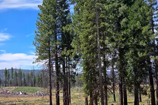 314 Osprey Loop, Lake Almanor, CA 96020 - Photo 10