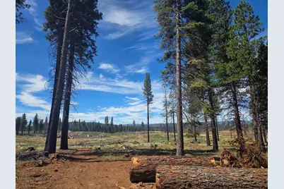 314 Osprey Loop, Lake Almanor West, CA 96020 - Photo 14
