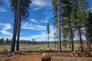 314 Osprey Loop, Lake Almanor West, CA 96020 - Photo 14