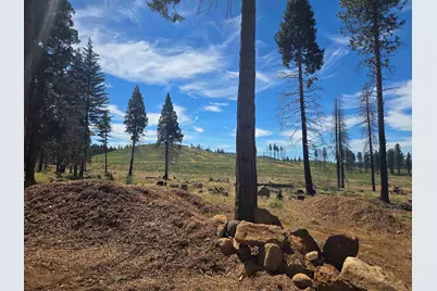 314 Osprey Loop, Lake Almanor, CA 96020 - Photo 6